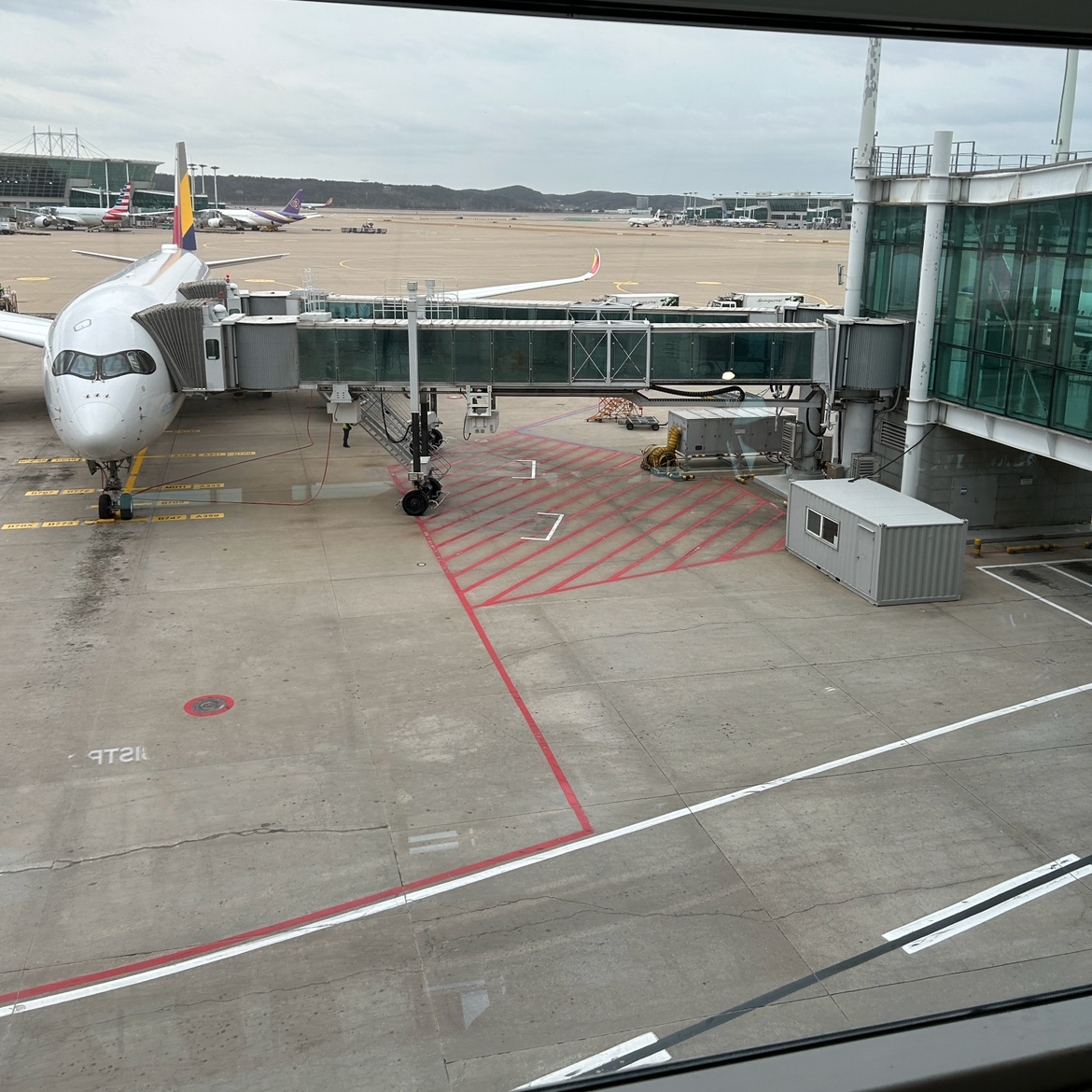 시애틀 타고마 공항 사진