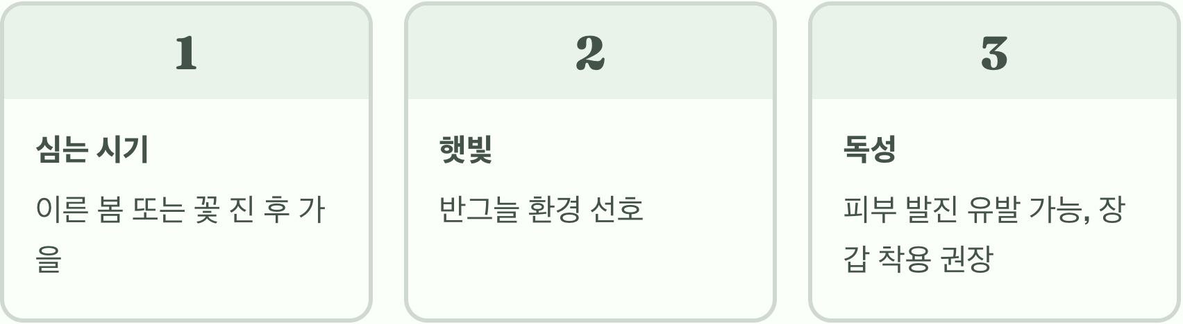 추명국, 한번 심으면 뽑을 수 없는 이유 (엄청난 번식력)