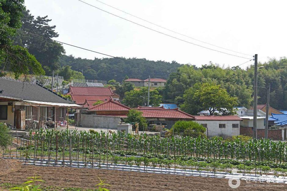 서천 가볼만한곳 베스트 10