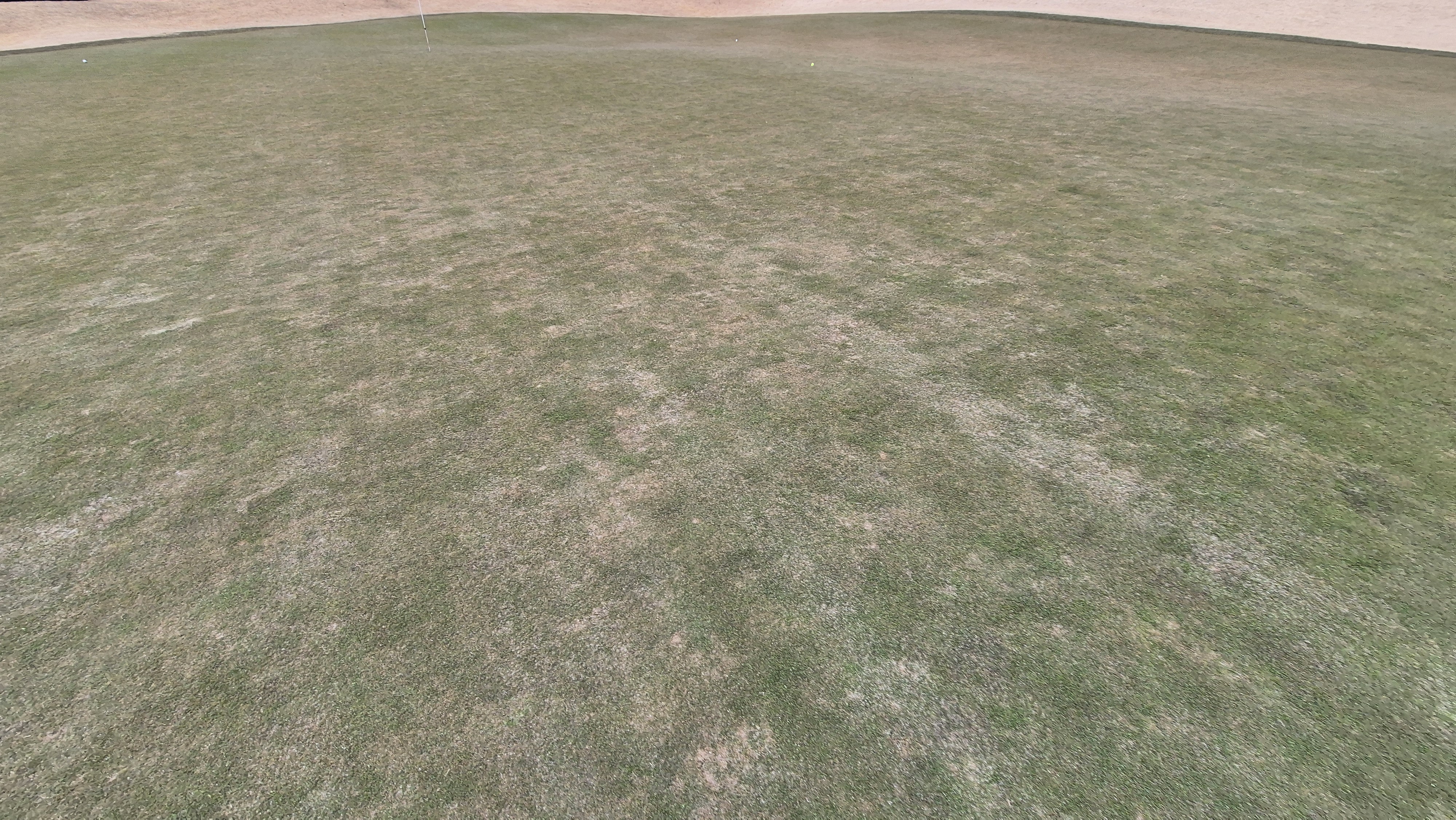 모나크cc 라운드 후기 그린관리상태