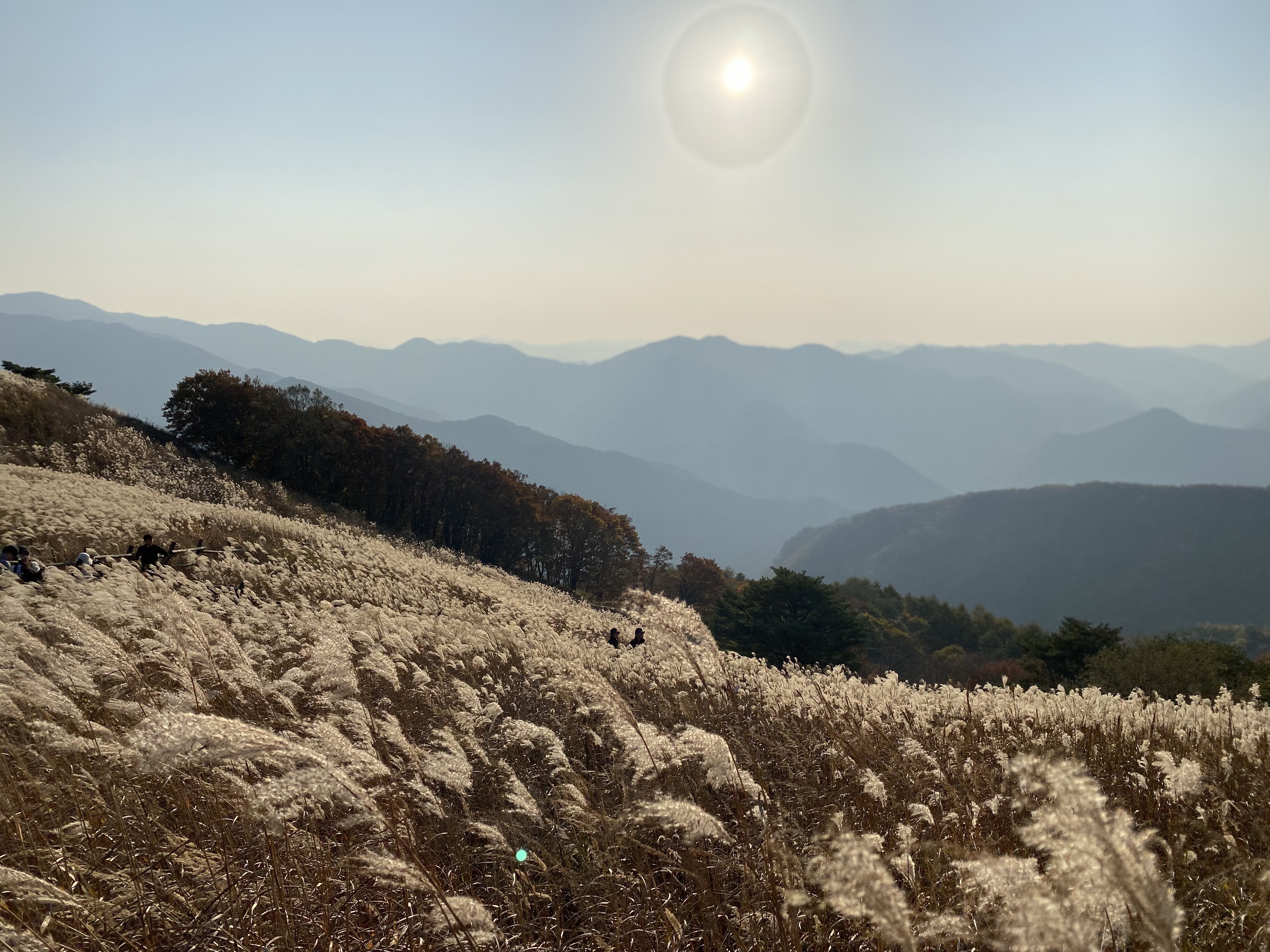 민둥산