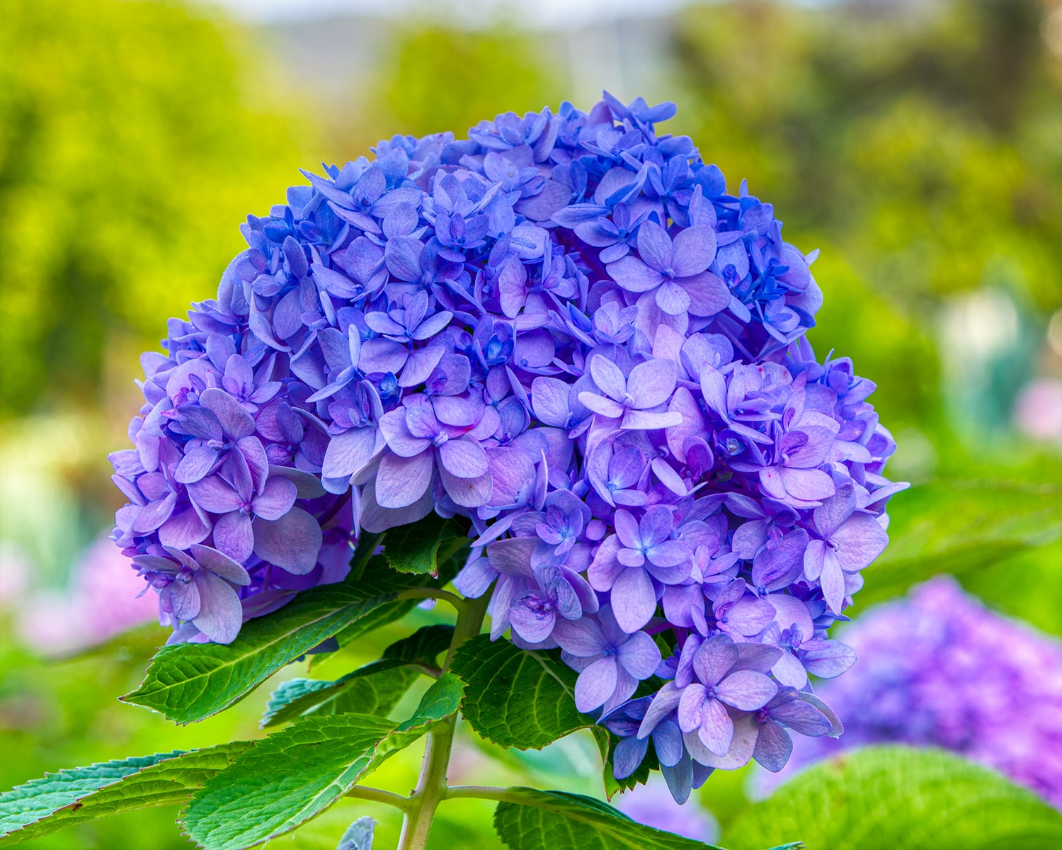 구리 한강공원- 30