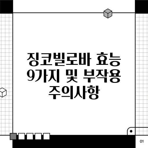 징코빌로바 효능 9가지 및 부작용 주의사항