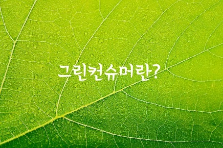 지구사랑 편지_13 작은 선택이 만드는 큰 변화, 그린 컨슈머 지구사랑 편지_13 작은 선택이 만드는 큰 변화, 그린 컨슈머