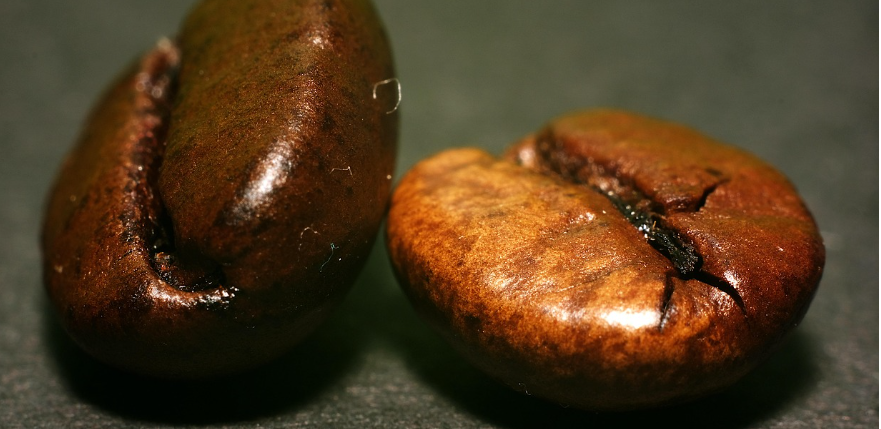 브런치카페 사진