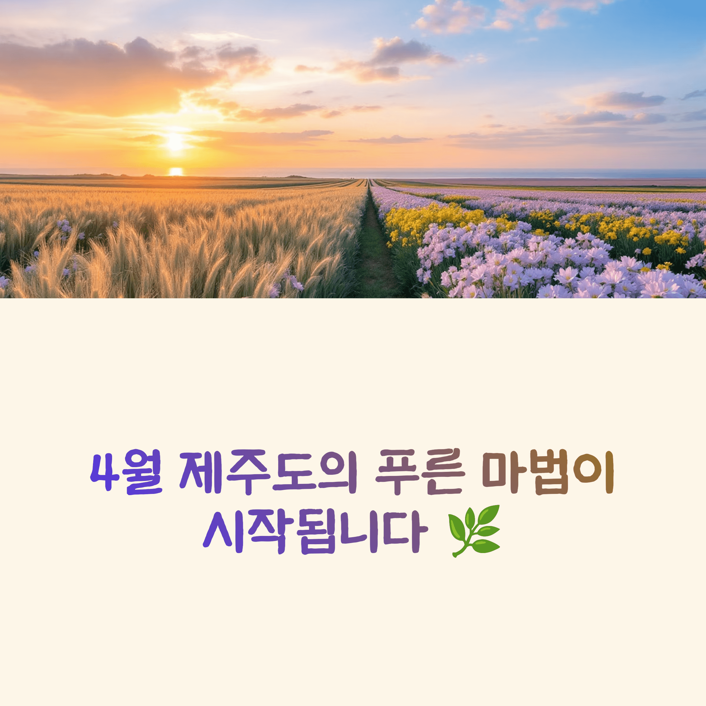 제주 가파도