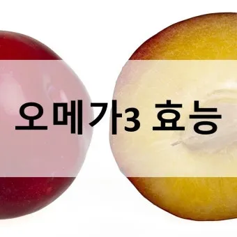 오메가3 효능 부작용 복용법으로_16