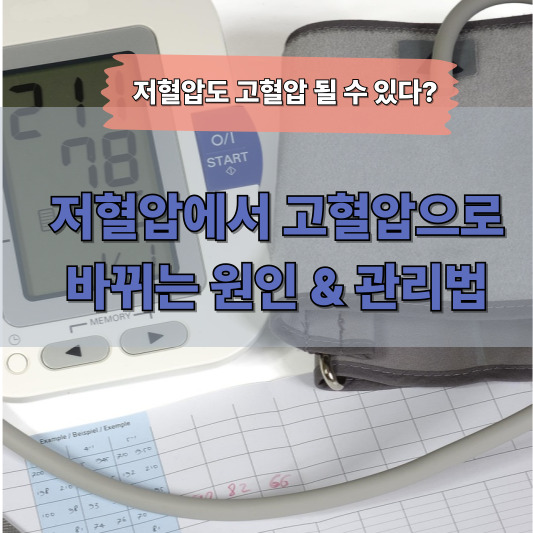 저혈압 체질도 고혈압 될 수 있다? 40대 이후 혈압 변화의 비밀