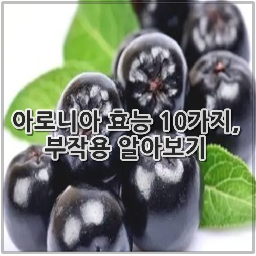 아로니아 효능 10가지, 부작용 알아보기