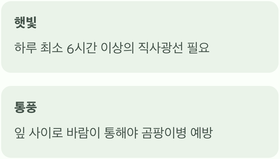 햇빛은 '밥', 바람은 '약'