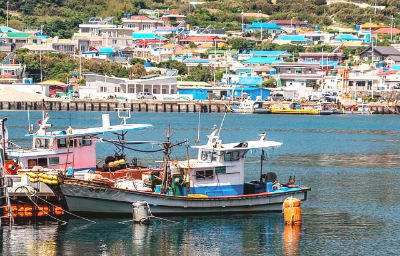 여수 거문도 백도 여행 사진