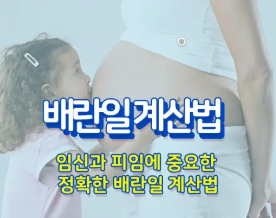 배란일계산
