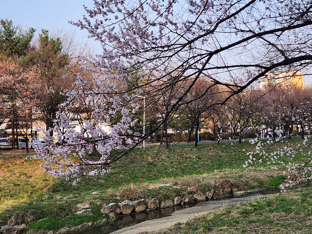 Bupyeong