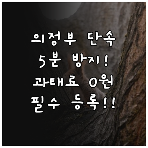 의정부시 주정차단속알림 서비스 등록으..