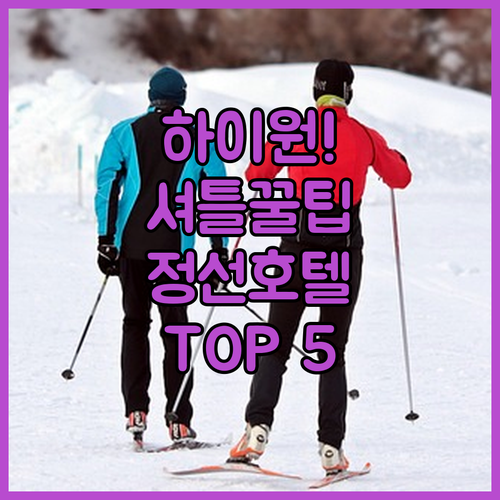 하이원 리조트 셔틀 이용하기 좋은 정..