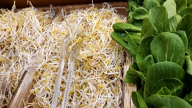 숙주&amp;#44; 청경채 사진