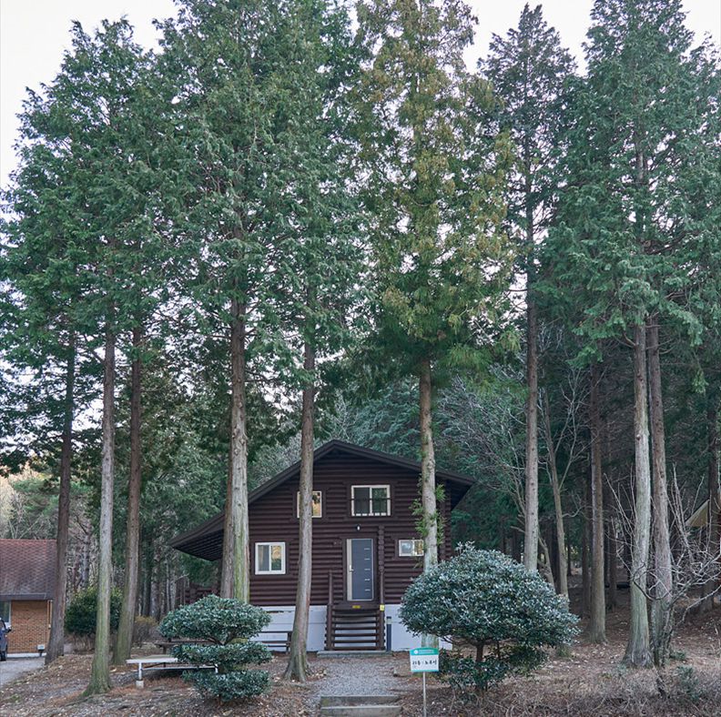 국립남해편백자연휴양림