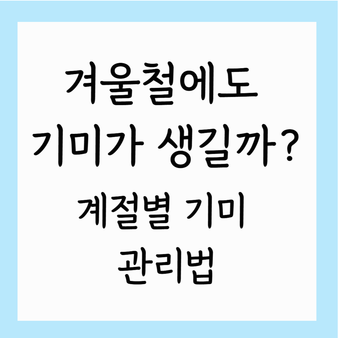 겨울철에도 기미가 생길까? 계절별 기미 관리법