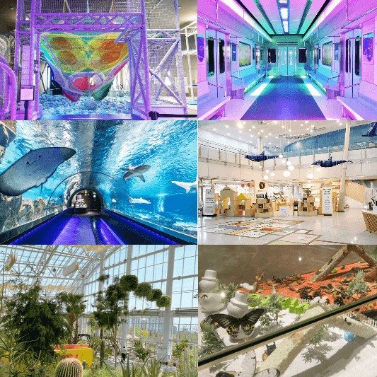 실내명소-썸네일