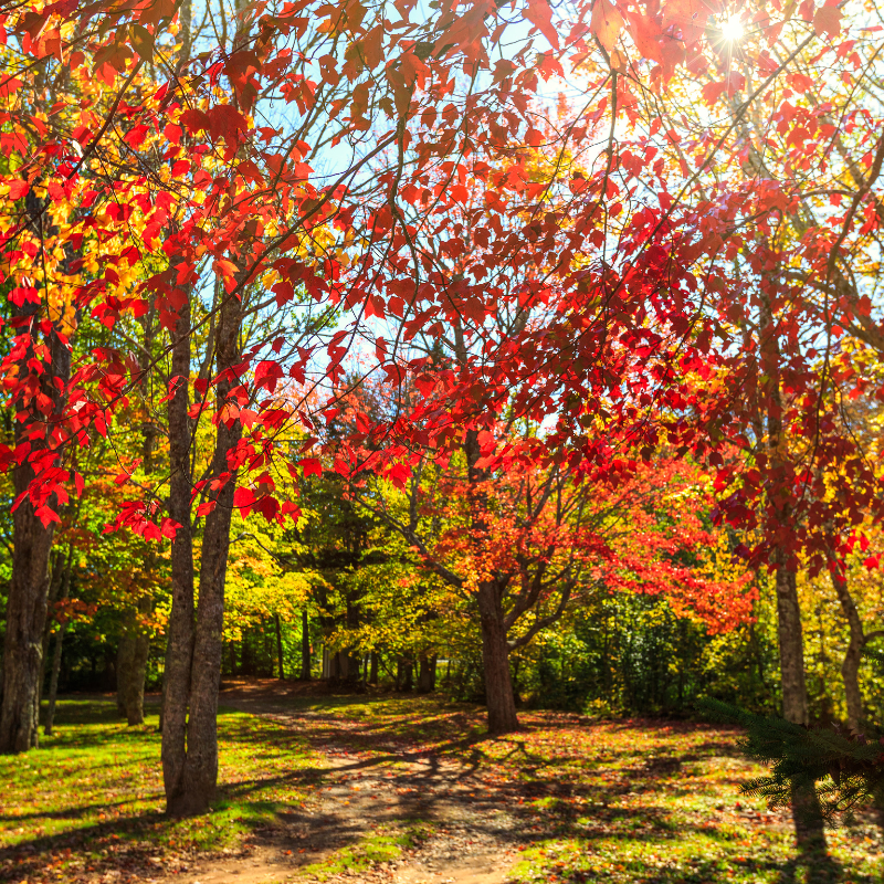 2024년 가을 축제_17