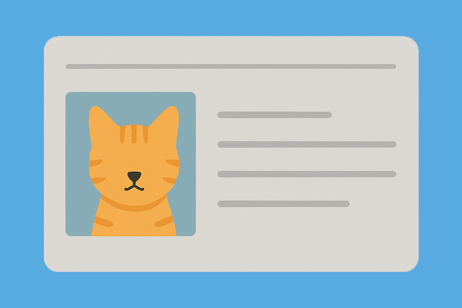 현대해상 펫보험 고양이 설명 이미지