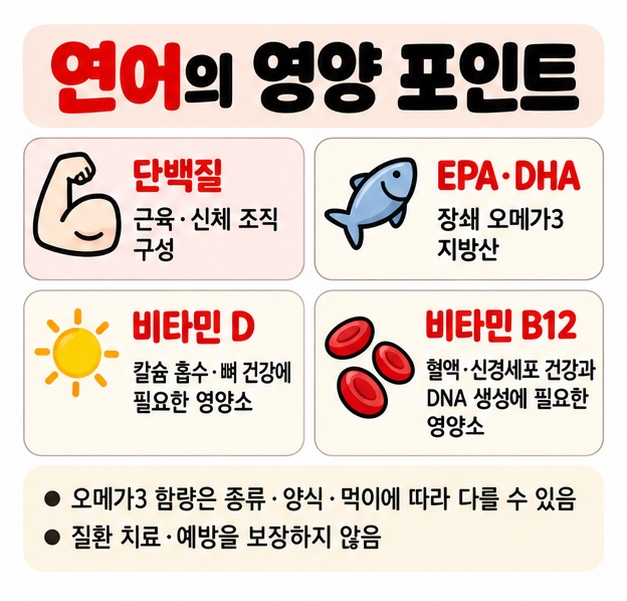 연어의 단백질 EPA DHA 오메가3 비타민 D 비타민 B12와 각각의 영양상 역할을 보여주는 카드