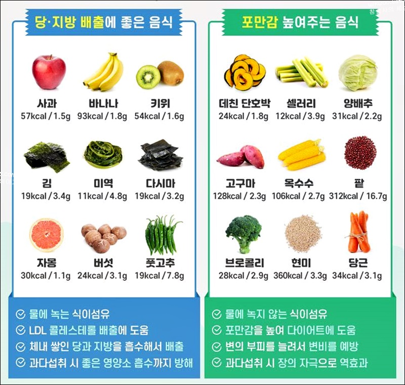 식이섬유가 많은 음식