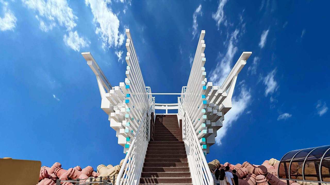 강릉 사근진 해변 유채꽃밭