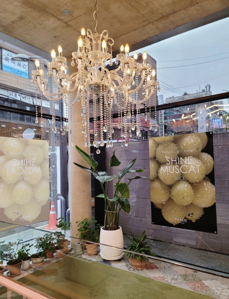 신논현역 카페 프레임 바이로찌 강남역 대형카페