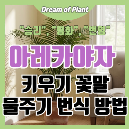 아레카야자 키우기 썸네일 이미지