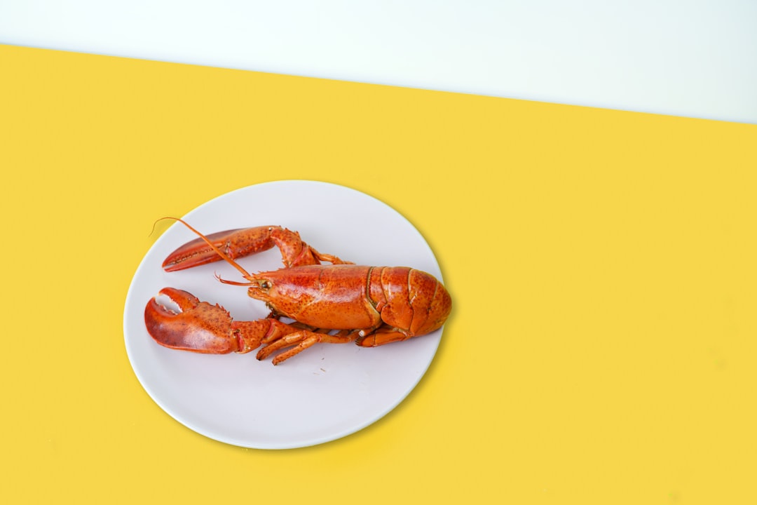 Lobster