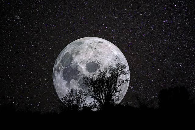 Reionization source clustering과 bias evolution