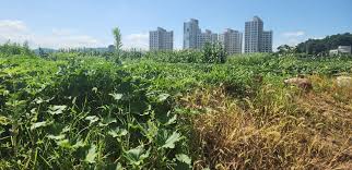 농지연금 수령액 계산 방법