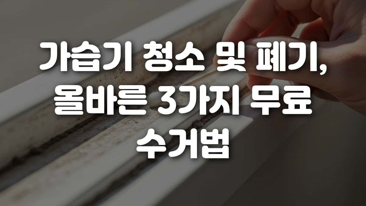 가습기 청소 및 폐기 올바른 3가지 무료 수거법