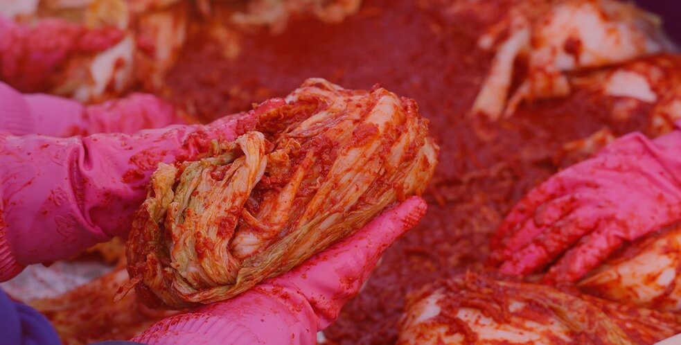 평창 고랭지 김장축제 예약 방법