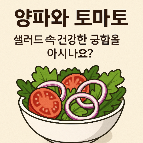 Alt 속성 문제 해결 설명 이미지