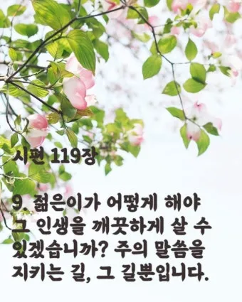 시편 91장 11절 읽기 - 그가 너를 위하여 그의 천사들을 명령하사_15