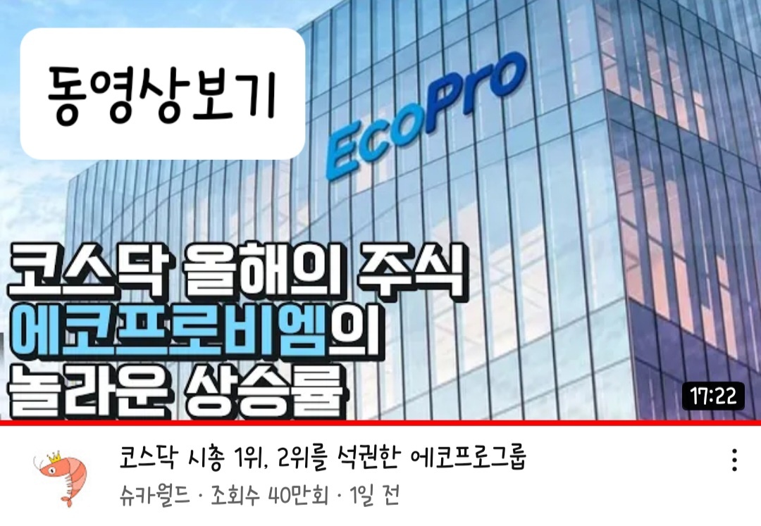 에코프로&#44; 에코프로비엠