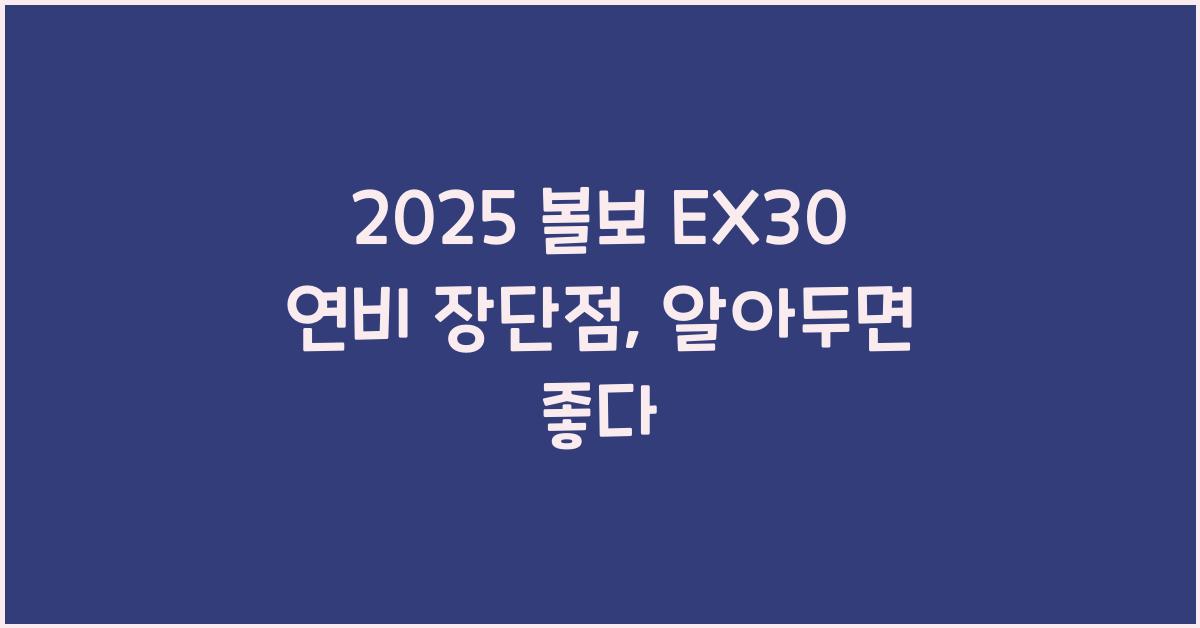 2025 볼보 EX30 연비 장단점