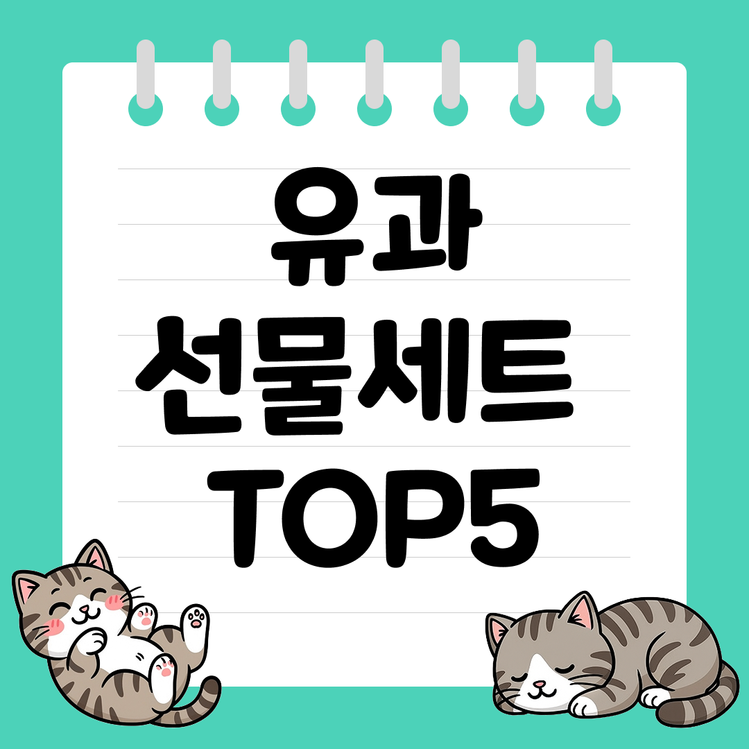 담백하고 바삭한 간식 유과 선물세트 추천 순위 TOP5