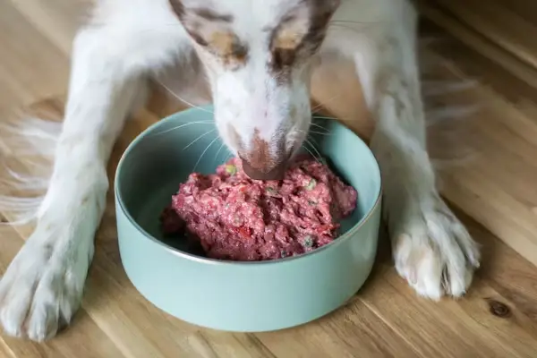 Homemade dog treats made with love by a pet food chef