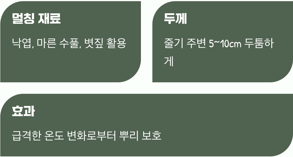 뿌리를 위한 따뜻한 이불 덮어주기