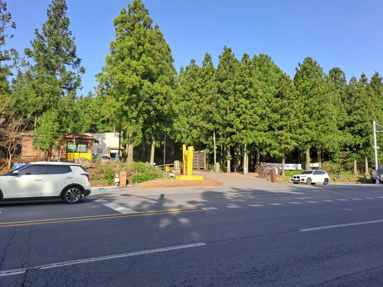 2025 제17회 사려니숲길 에코힐링 축제