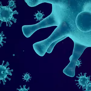 A형 독감 격리 기간