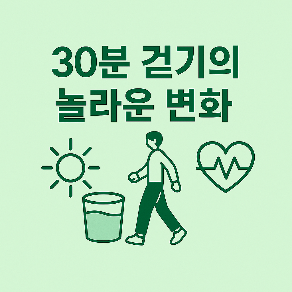 하루 30분 걷기
