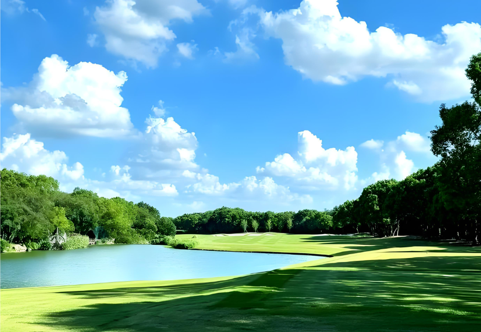 날씨가화창한골프장풍경사진