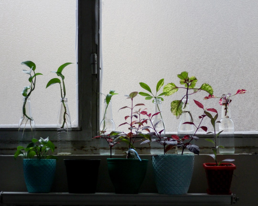 Planter