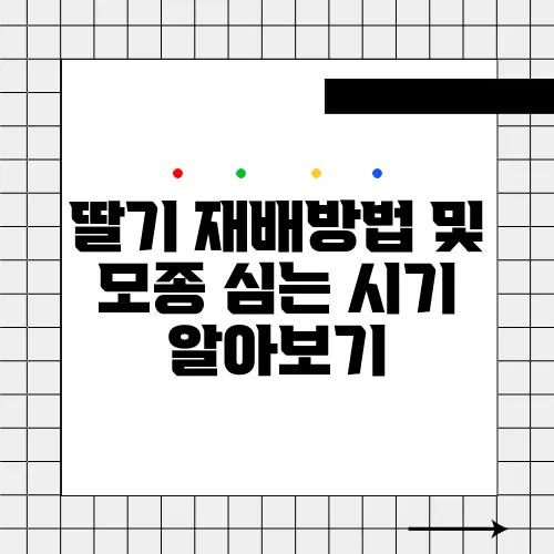 딸기 재배방법 및 모종 심는 시기 알아보기