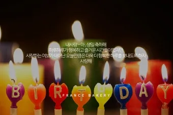 생일축하 메세지 문구 이미지 꽃다발 일러스트_18
