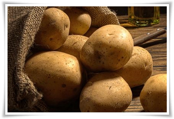 텃밭 "6월, 감자 수확하세요!" 텃밭에 숨겨진 금덩이, 지금 캐세요!